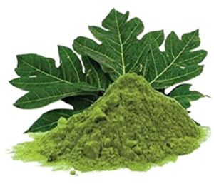 Papaya Leaf Powder