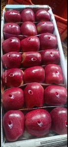 Kashmiri Apple