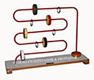 Supinator Pronator