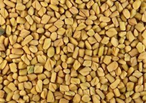 Fenu Greek Seeds
