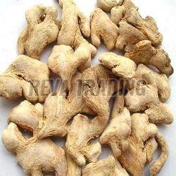 Dry Ginger