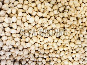 Garbanzo Beans