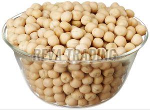 Lupin Seeds