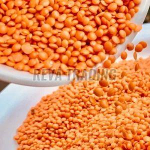Red Masoor Dal