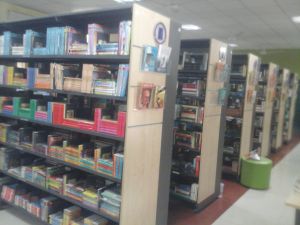 Library Consultancy Services
