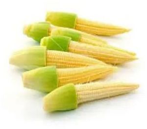 Fresh Baby Corn