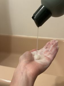 V3 Ayurvedic Hair Shampoo