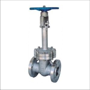 Cryogenic Gate Valve
