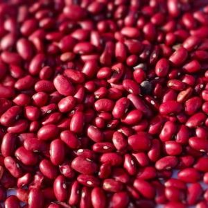Rajma (Red Kidney Beans)
