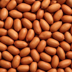Groundnut Seed