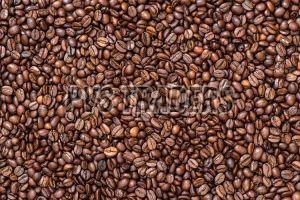 Brown Coffee Beans