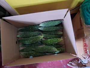 Bitter Gourd Karela