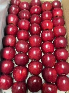 Fresh Apple