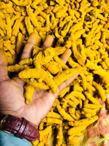 Double Polished Turmeric Finger