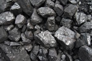 Coal