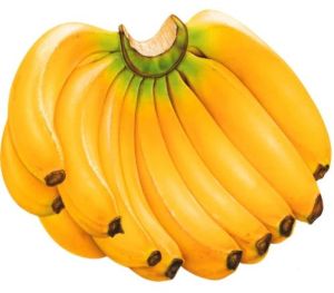 Fresh Yellow Banana