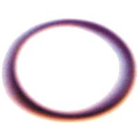 Valve Guide Ring (SE-120B)