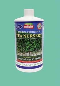 Tea Nursery Special