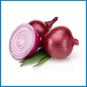 Onion