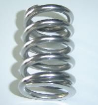 Valve Spring