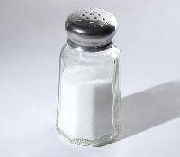 Salt Shaker