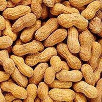 Groundnuts