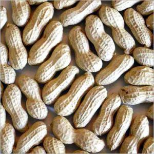 Groundnuts