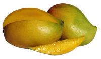 Kesar Mangoes