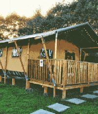 Woody Safari Tents