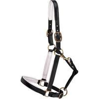 Leather Halters