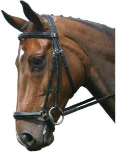 Raised Snaffle Bridle