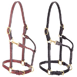 Track Halters