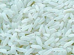 Rice - 02