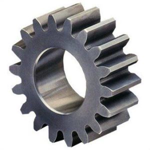 Spur Gear