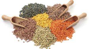 Indian Pulses