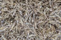 Dried Fish