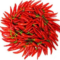 Fresh Red Chilli