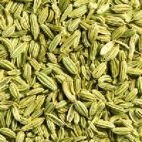 Fennel Seeds