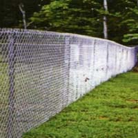 Poultry Chain Link