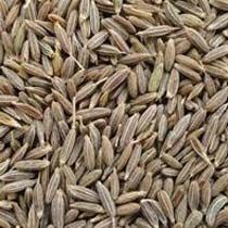 Cumin Seeds