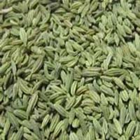 Fennel Seeds