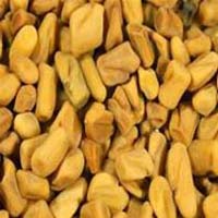 Fenugreek Seeds