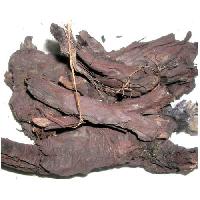 Terminalia Arjuna Bark Extracts