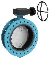 valve flanges