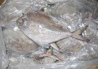 Frozen Black Pomfret