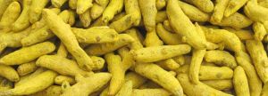 Turmeric Finger