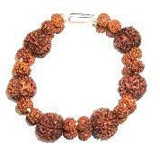 Panch Mukhi Rudraksha Bracelet