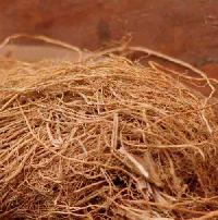 Vetiver Root