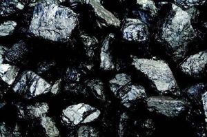 Assam Coal