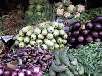 Indian Fresh Vegetables